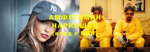 стаф Волосово