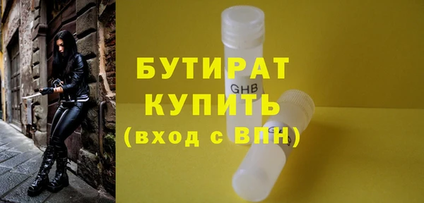 молекула духа Вяземский