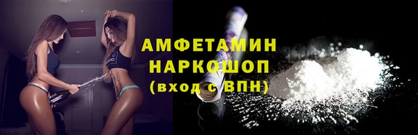 молекула духа Вяземский