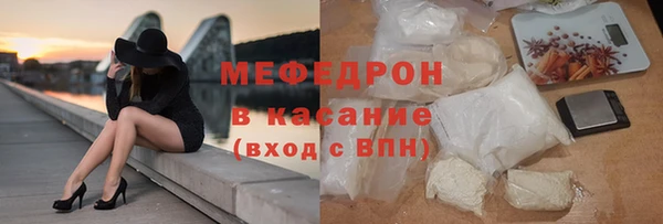 молекула духа Вяземский