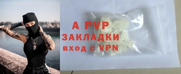 стаф Волосово