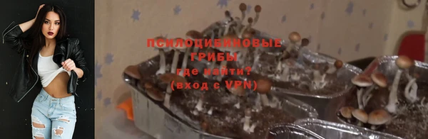 стаф Волосово