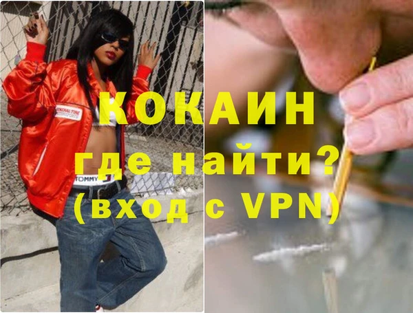 молекула духа Вяземский