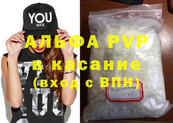 стаф Волосово