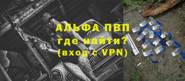молекула духа Вяземский