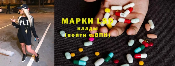 молекула духа Вяземский