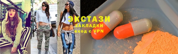 молекула духа Вяземский